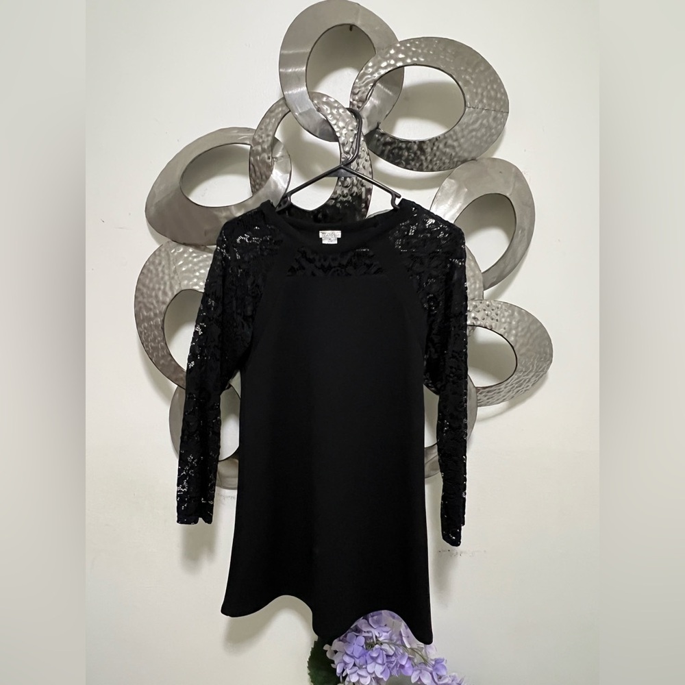 Sally Miller Black Lace Sleeve Dress